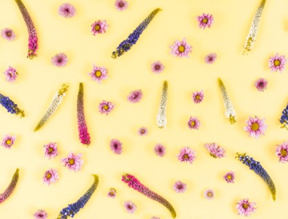 Εντερικό μικροβίωμα η αλλιώς ο 2ος εγκέφαλος του οργανισμού μας.