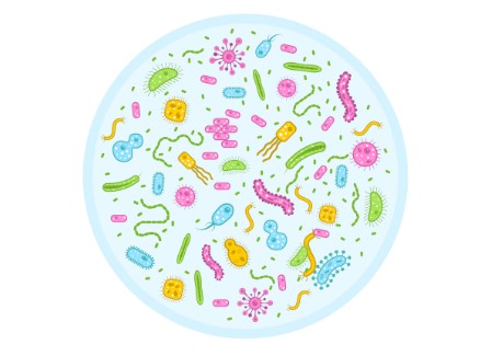 12 τροφές για την υγεία του δικαίως πολυσυζητημένου εντερικού μικροβιώματος